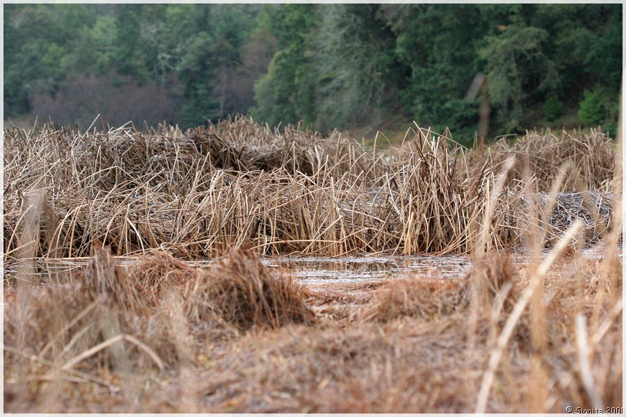 Click to view next image