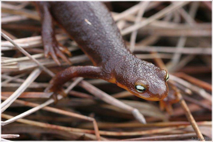 Click to view next image