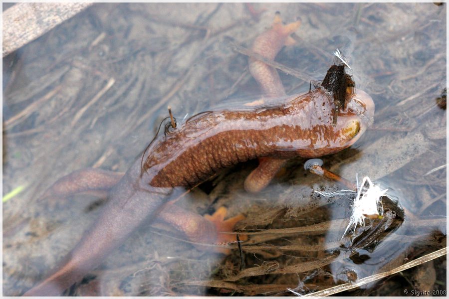 Click to view next image