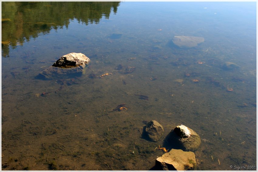 Click to view next image