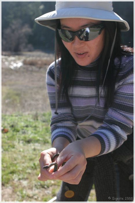 Click to view next image