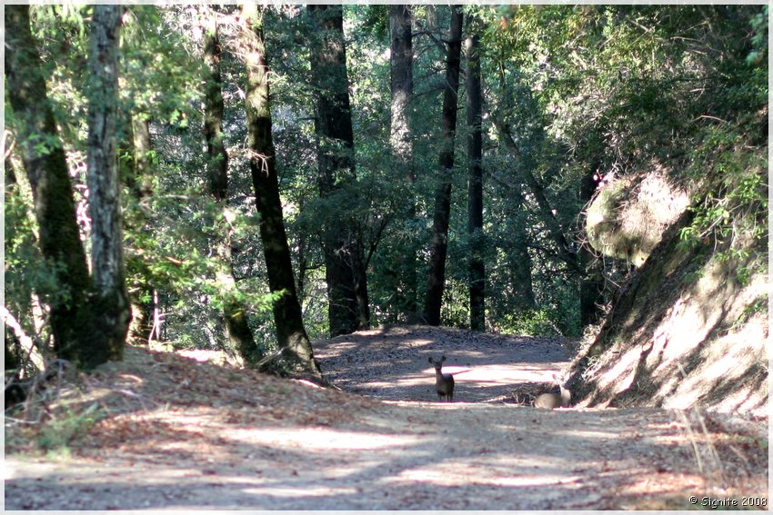 Click to view next image