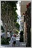 Heading to Russian Hill - Lombard Street