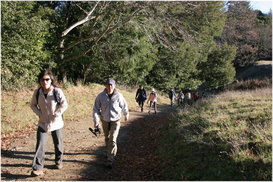 Click to view next image