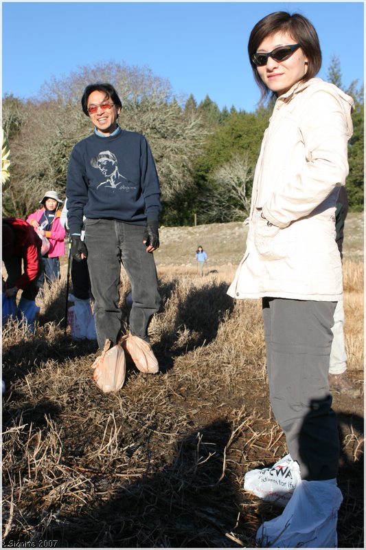 Click to view next image