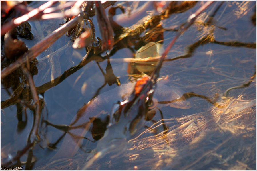 Click to view next image