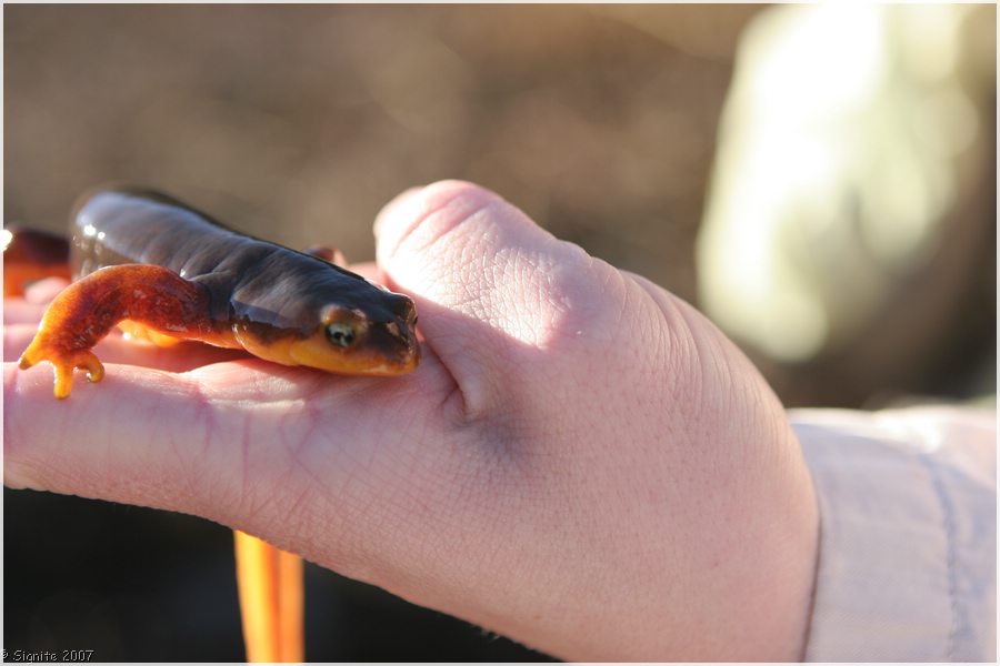 Click to view next image