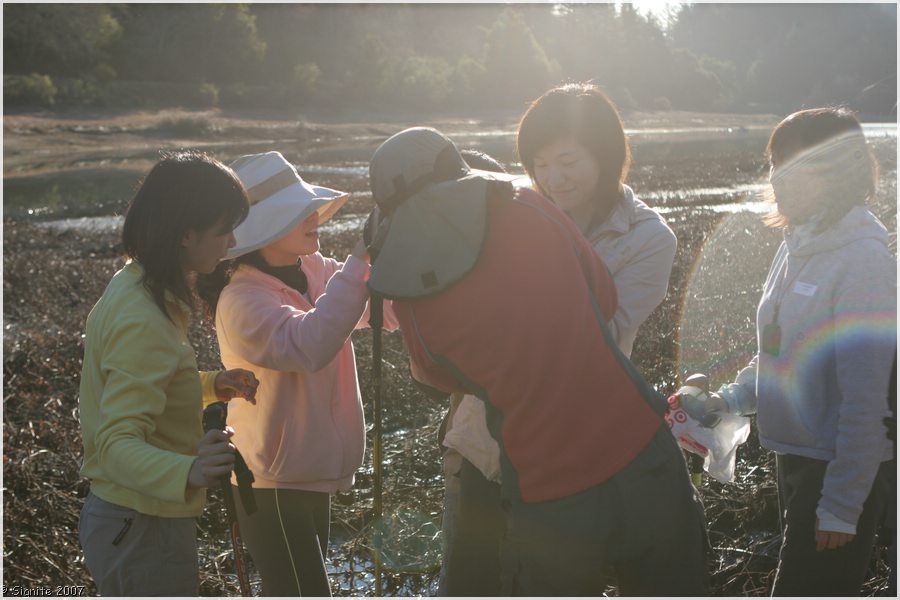 Click to view next image