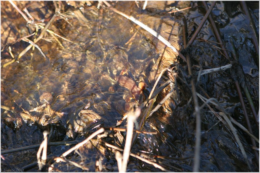 Click to view next image