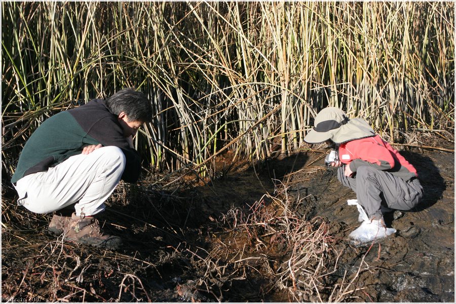 Click to view next image