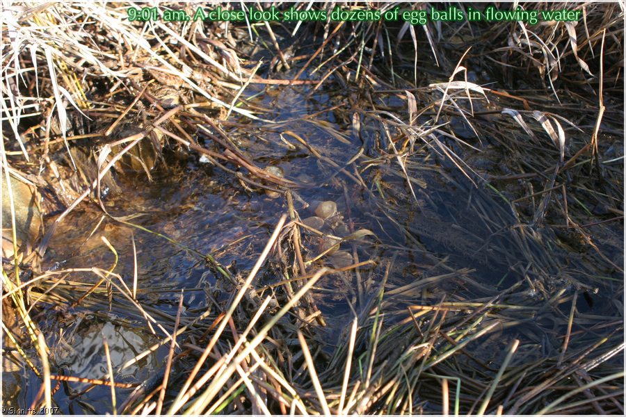 Click to view next image