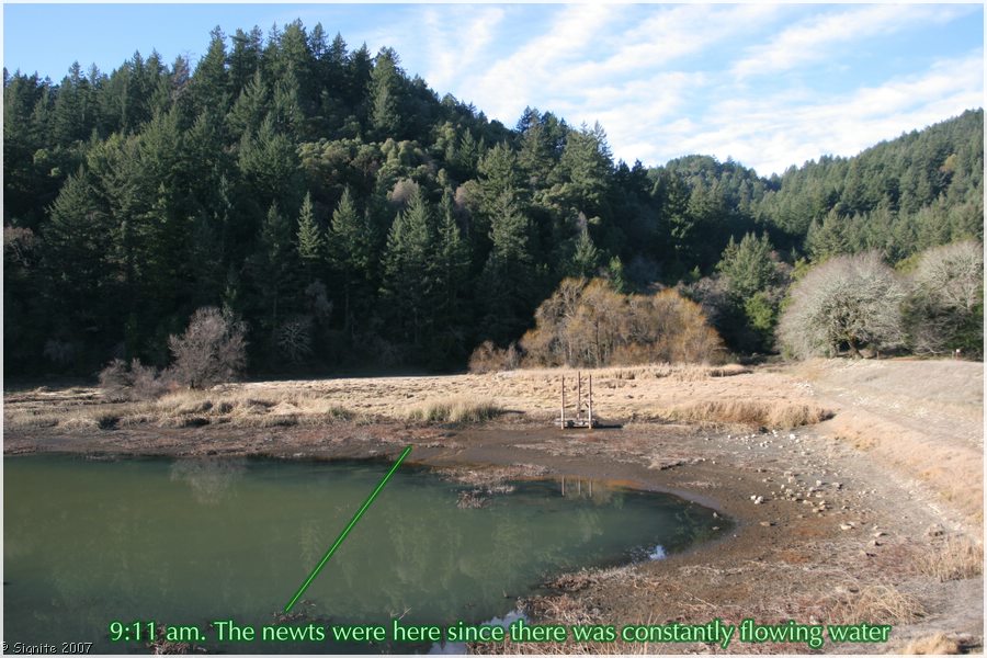 Click to view next image