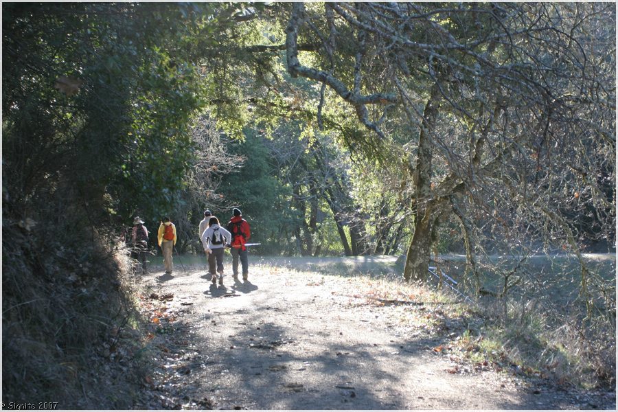 Click to view next image