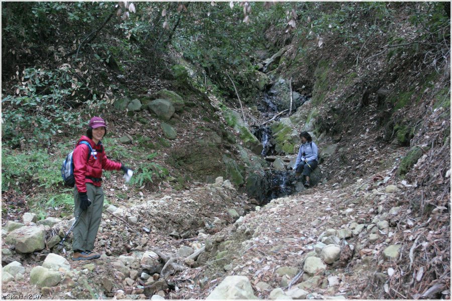 Click to view next image