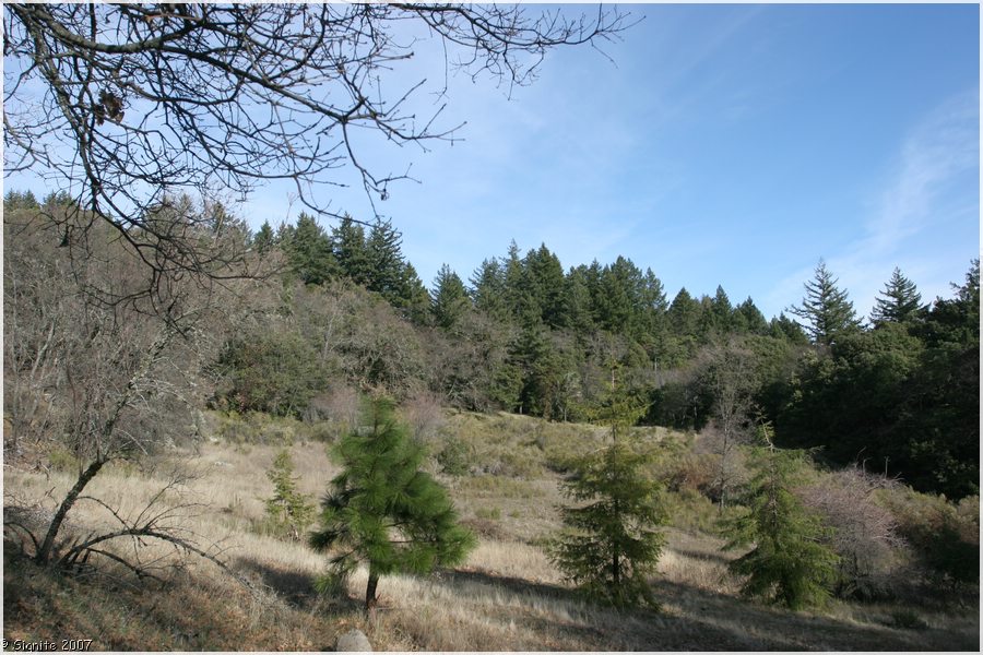 Click to view next image