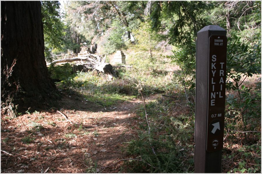 Click to view next image