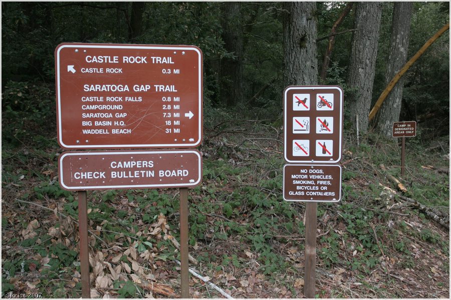 Click to view next image