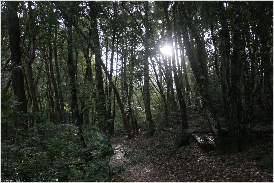 Click to view next image