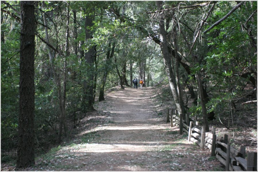 Click to view next image