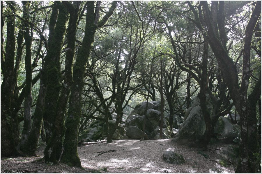 Click to view next image