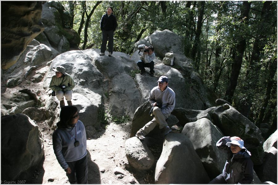 Click to view next image