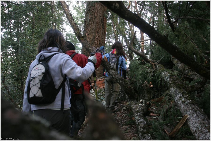 Click to view next image