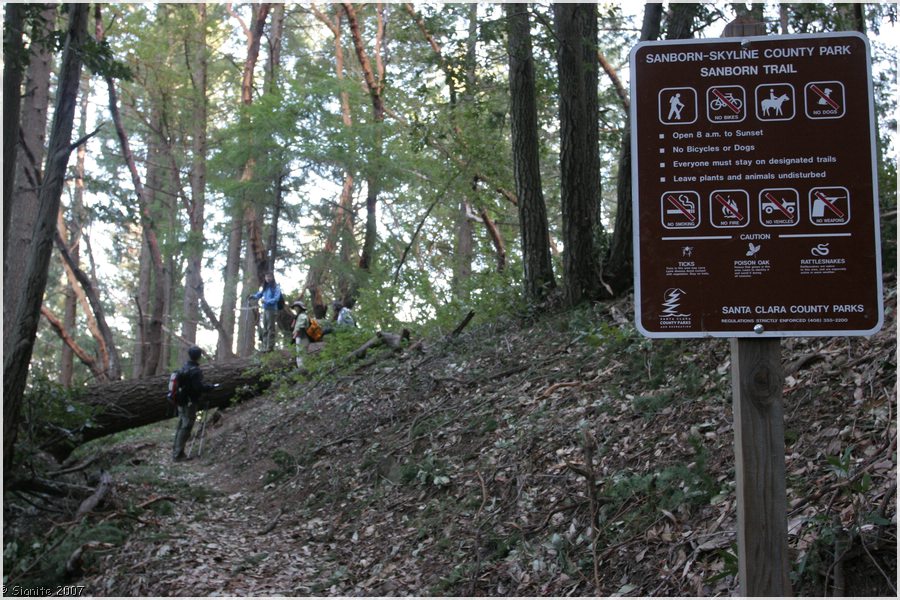 Click to view next image