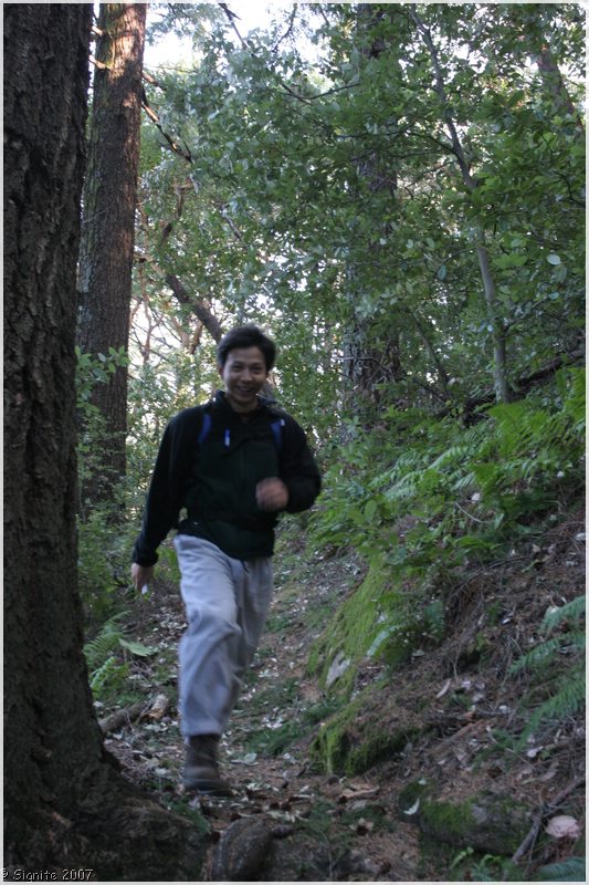 Click to view next image