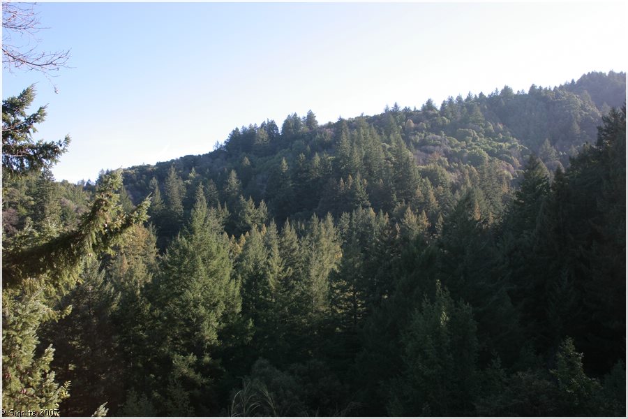 Click to view next image