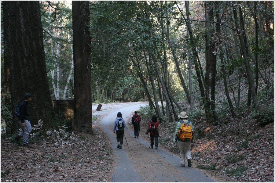 Click to view next image