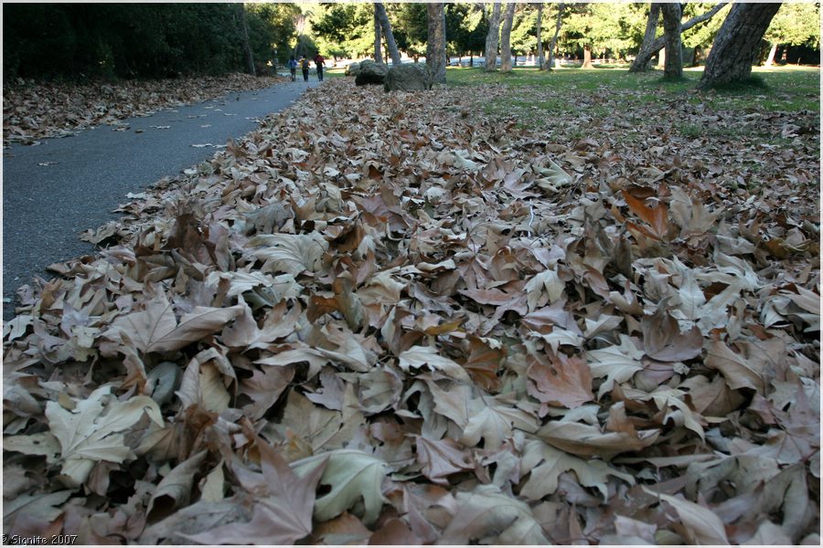 Click to view next image