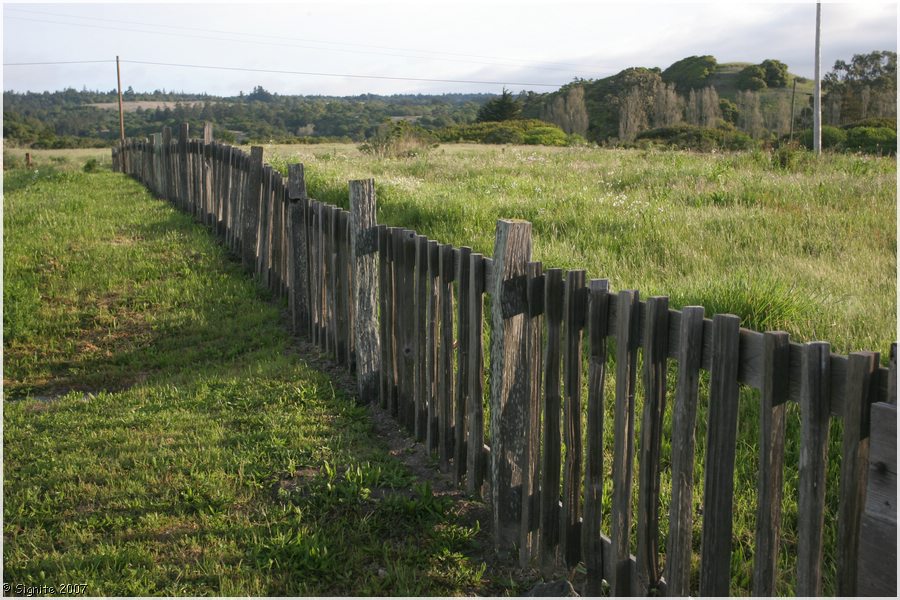 Click to view next image