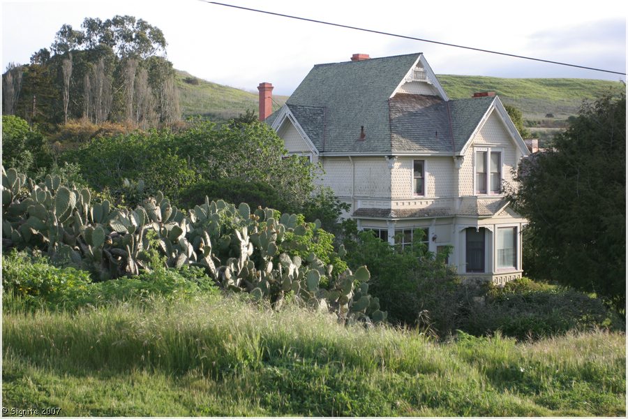 Click to view next image