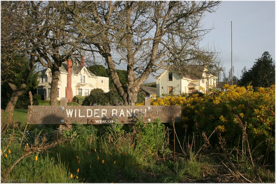 Click to view next image