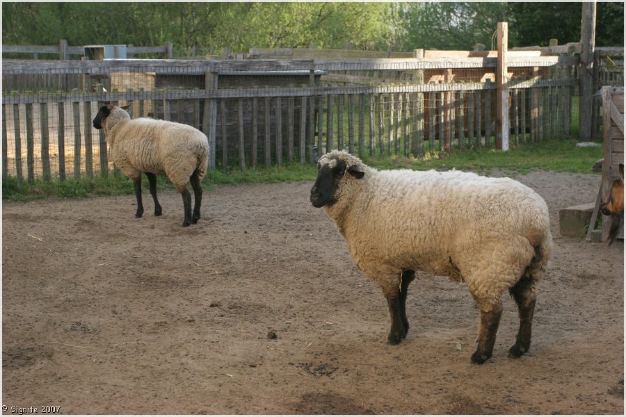 Click to view next image