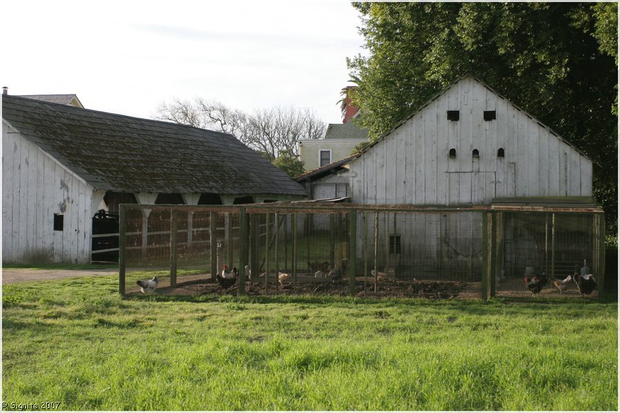 Click to view next image