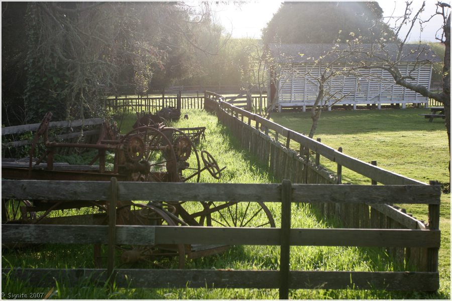 Click to view next image