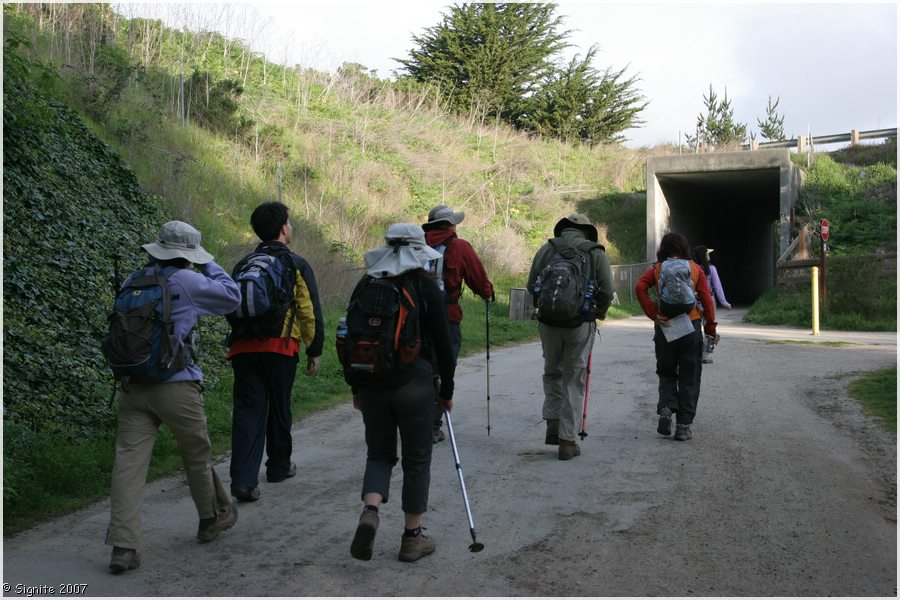 Click to view next image