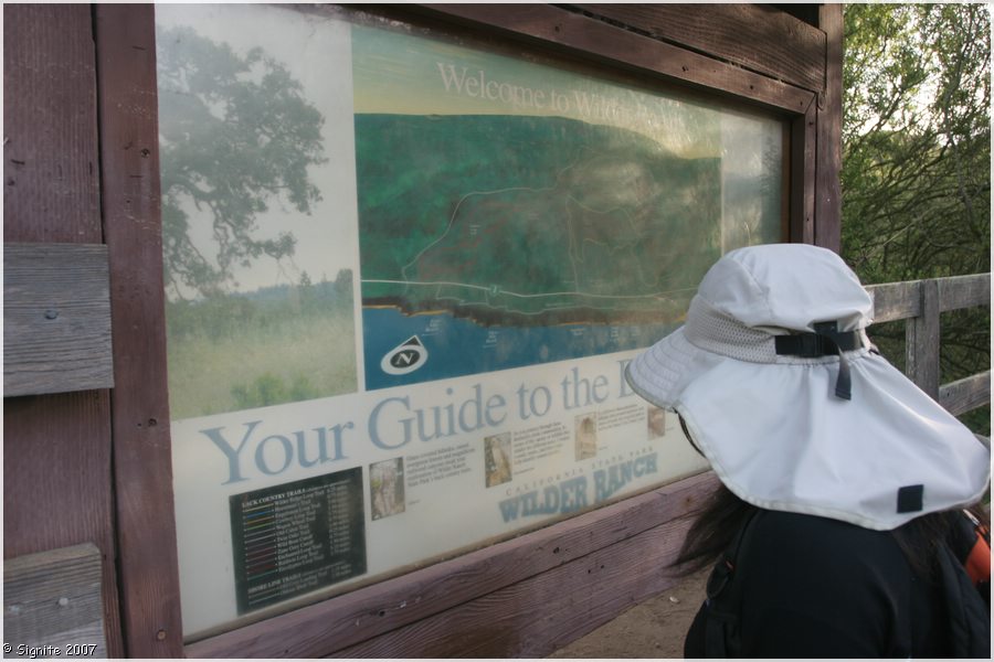 Click to view next image