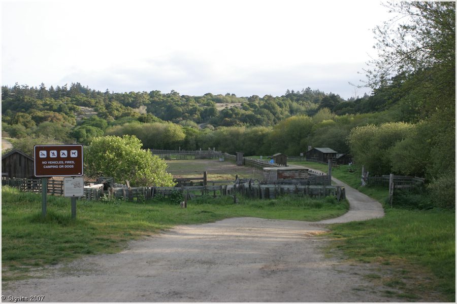 Click to view next image