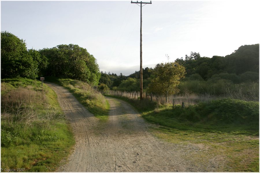 Click to view next image