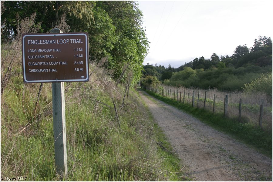 Click to view next image