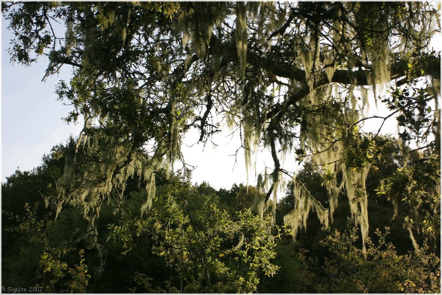 Click to view next image