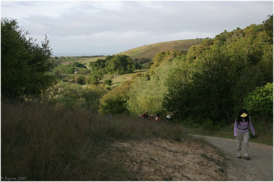 Click to view next image