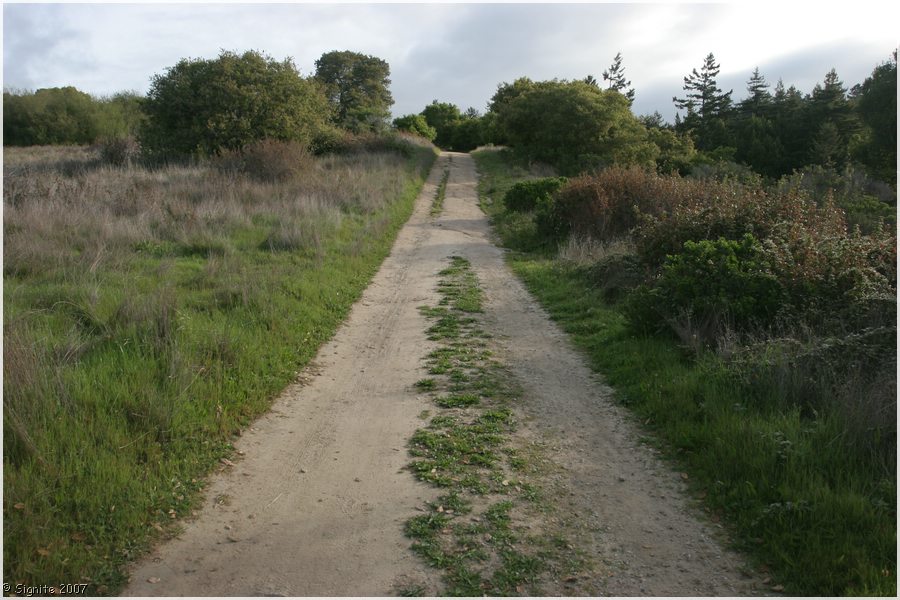 Click to view next image