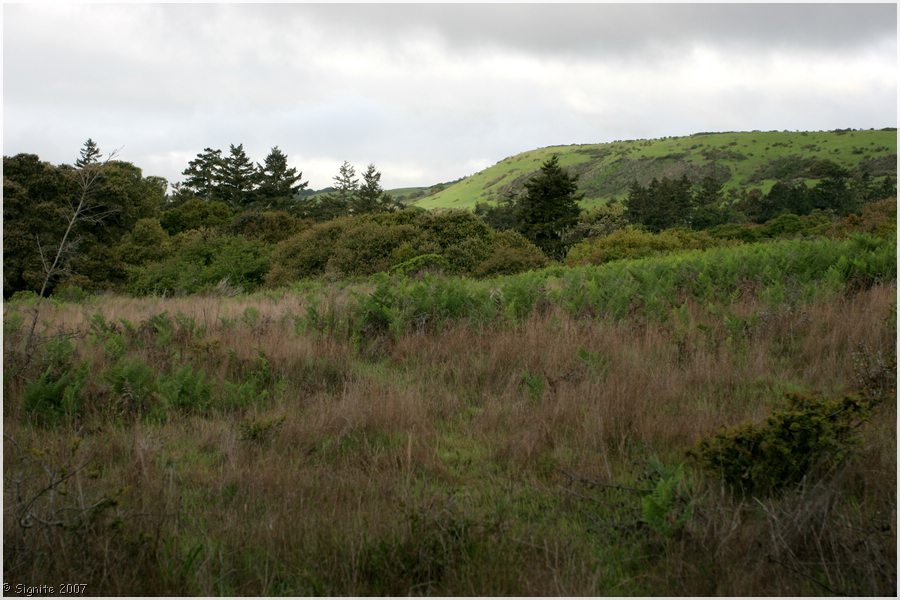 Click to view next image