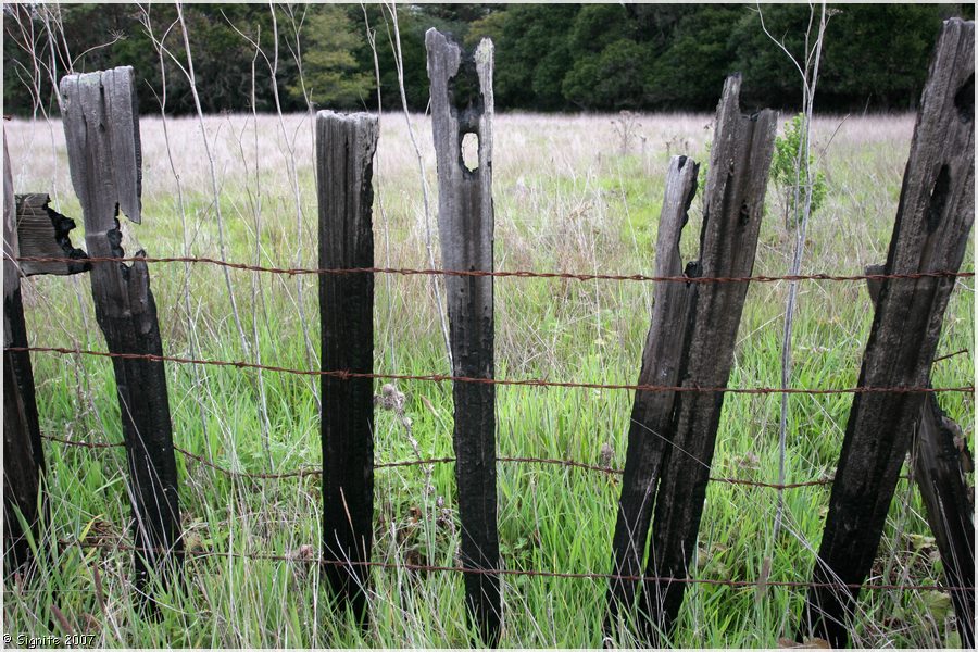 Click to view next image