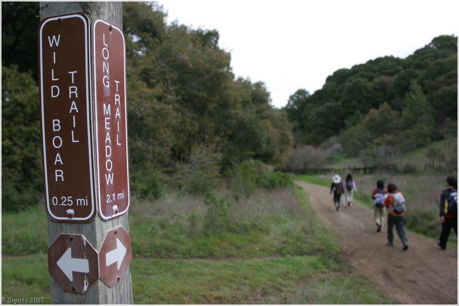 Click to view next image