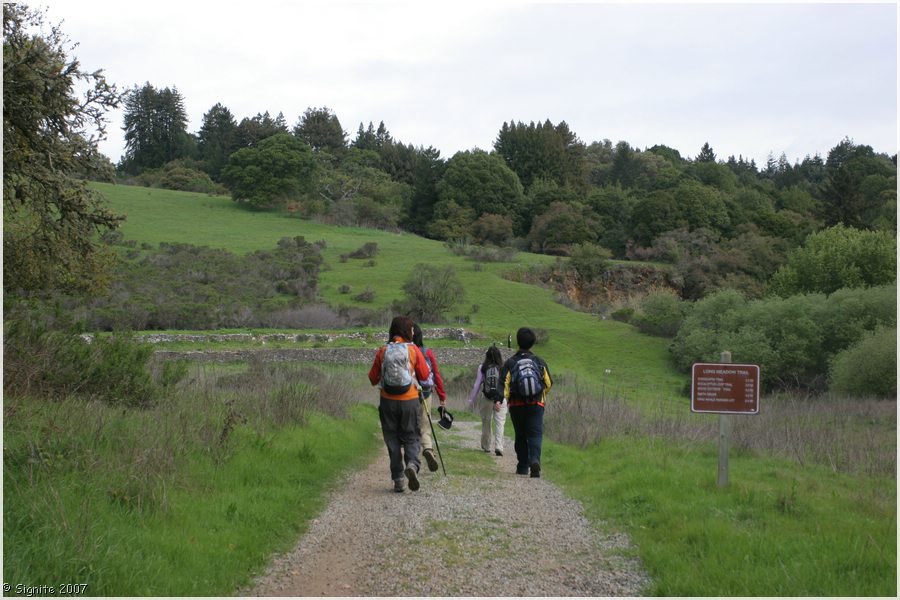 Click to view next image