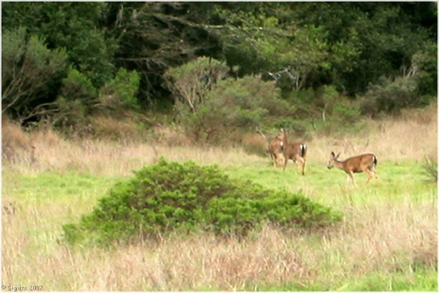 Click to view next image